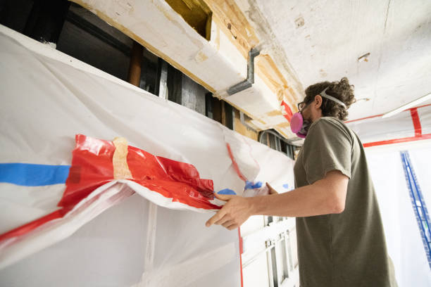 Best Crawl Space Mold Remediation  in Big Bear Lake, CA